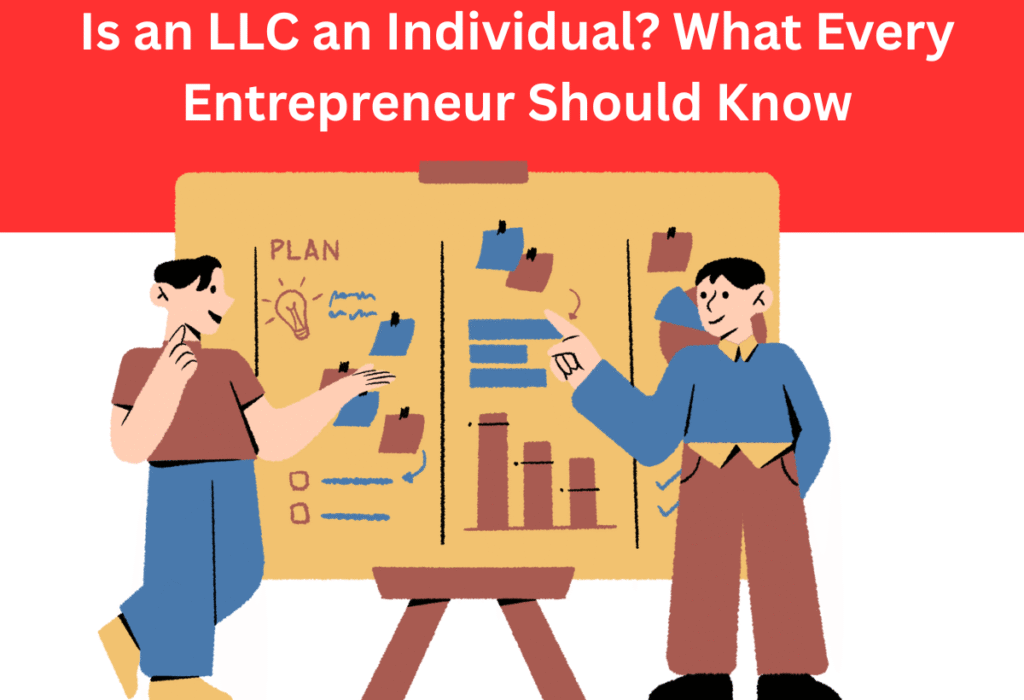 Is an LLC an Individual.